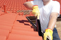Lye Head roof cleaners